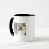 Mug Nom latin : Lupus de Canis (Devant gauche)