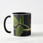 Mug Nom personnalisé Grenouilles (Gauche)