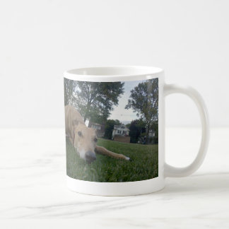 Mug non défini