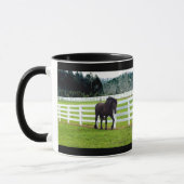 Mug Nonesuch à Cedar Point (Gauche)