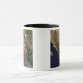 Mug Nord du Mexique 2 (Centre)