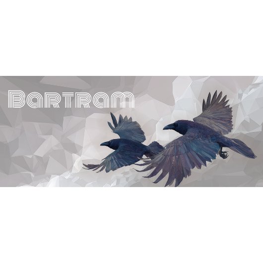 Mug Norse Ravens Mythology Art - Huginn & Muninn -