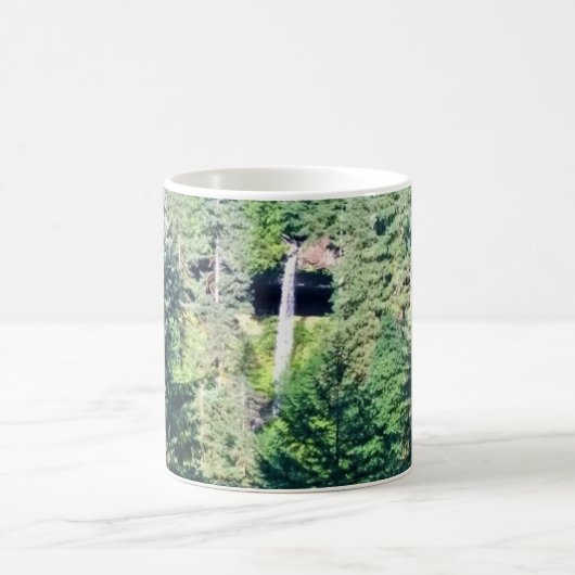 Mug North Falls, OR (Centre)