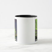 Mug Northern Lights and Orcas - Wrangell, Alaska (Centre)