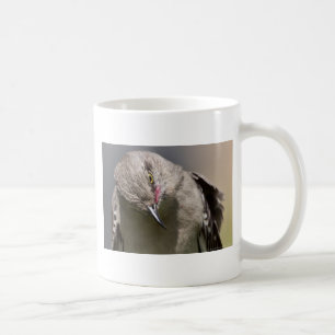 Mug Northern Mockingbird prend un Bow Appareils & cade
