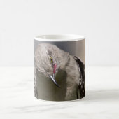Mug Northern Mockingbird prend un Bow Appareils & cade (Centre)