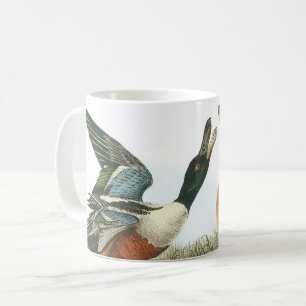Mug Northern Shoveler par Audubon