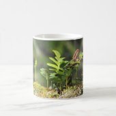 Mug Nouvelle Croissance Ferme Moss Nature Enthousiaste (Centre)