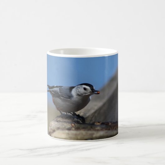 Mug Nuthatch (Centre)