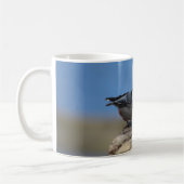 Mug Nuthatch (Gauche)