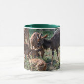 Mug Nyala élégant – Nature africaine (Centre)