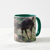 Mug Nyala élégant – Nature africaine (Devant droit)
