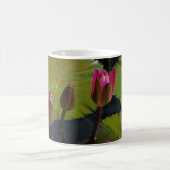 Mug Nymphéas roses (Centre)