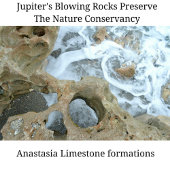 Mug Océan tourbillonnant rochers soufflants Jupiter Fl