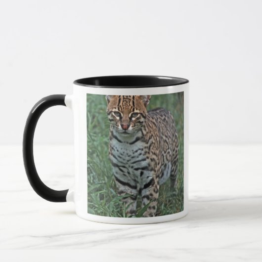 Mug OCELOT (Leopardus pardalis) AMÉRIQUE CENTRALE (Gauche)