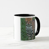 Mug OCELOT (Leopardus pardalis) AMÉRIQUE CENTRALE (Devant droit)
