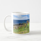 Mug Odiorne Point State Park, Rye, NH (Gauche)