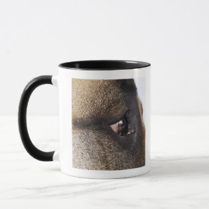 Mug Oeil de great dane
