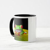Mug Oeil rouge Treefrog, Agalychinis callidryas, autoc (Devant gauche)