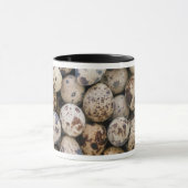 Mug Oeufs de caille, Huaraz, Cordillera Blanca, Ancash (Centre)