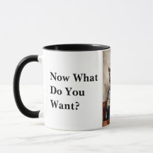 Office grincheux Chat Lire le journal