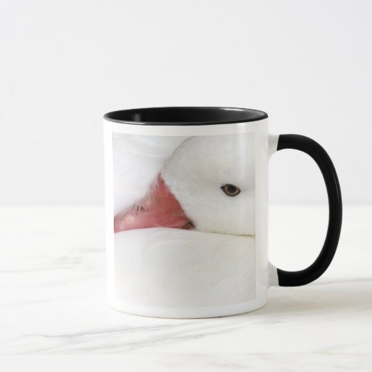 Mug Oie des neiges Chen caerulescens (Droite)