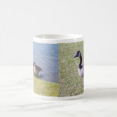 Mug Oies canadiennes le long de la rivière d'Ottawa (Centre)