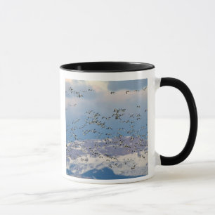 Mug Oies des neiges pendant la migration printanière