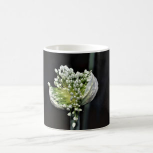 Mug Oignon de printemps