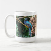 Mug Oiseau bleu à longue queue (Gauche)
