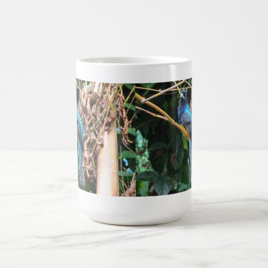 Mug Oiseau bleu long à queue (Centre)