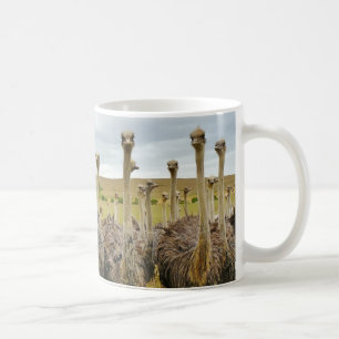 Mug Oiseau d'autruche