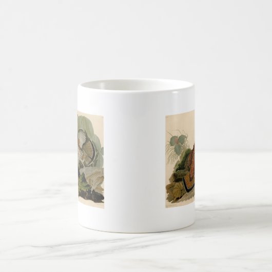 Mug Oiseau de gibier Audubon (Centre)