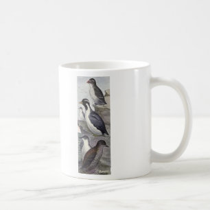 Mug Oiseau de Murrelet