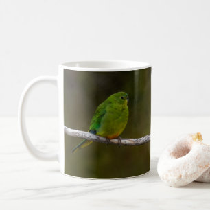 Mug Oiseau de perroquet à ventre orange Australie