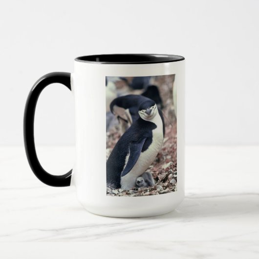 Mug Oiseau de pingouin mignon animal noir eau blanche (Gauche)