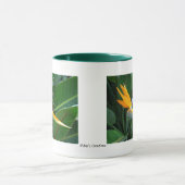 Mug Oiseau du paradis (Centre)