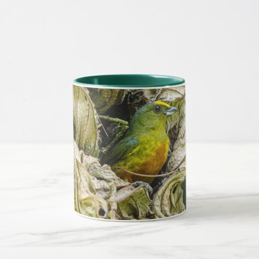 Mug Oiseau tropical Euphonie à dos d'olive (Centre)