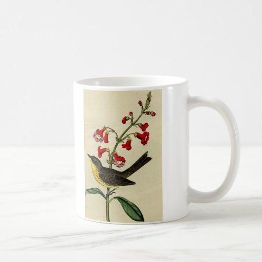 Mug Oiseau vintage de fauvette de Kirtlands (Droite)