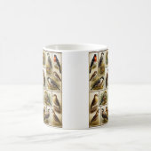 Mug Oiseaux (Centre)