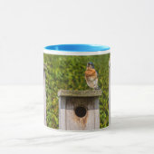 Mug oiseaux bleus (Centre)