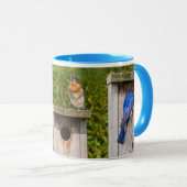 Mug oiseaux bleus (Devant droit)