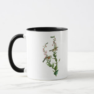 Mug oiseaux Châtaigne-dégrossis d'Audubon de fauvett