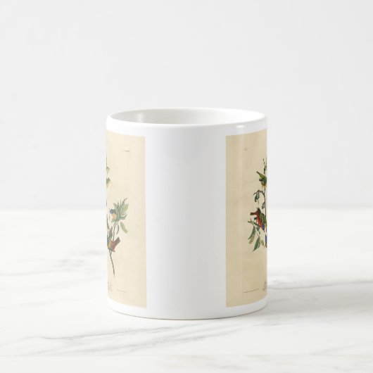 Mug Oiseaux d'Amérique d'Audubon (Centre)