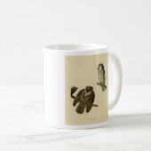 Mug Oiseaux d'Amérique du Chouette boréale de Tengmalm (Devant droit)
