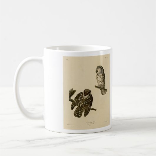 Mug Oiseaux d'Amérique du Chouette boréale de Tengmalm (Gauche)