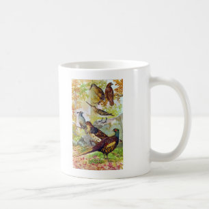Mug Oiseaux de jeu 1902 Véritable Chromolithographe e