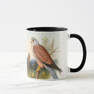 Mug Oiseaux de John Gould de faucon de crécerelle de