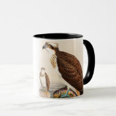 Mug Oiseaux de John Gould de faucon de mer de (Devant droit)