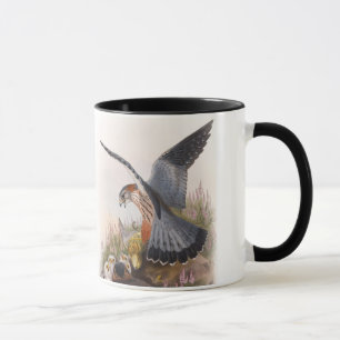 Mug Oiseaux de John Gould de faucon de MERLIN de la